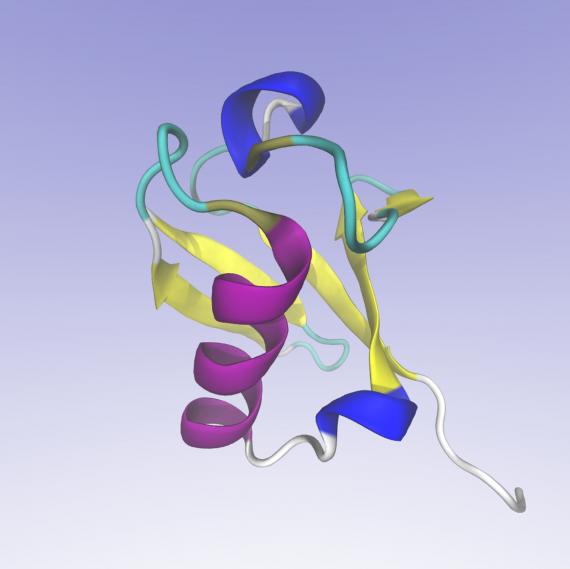 ubiquitin protein molecule